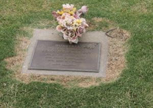 The grave from a little further away.