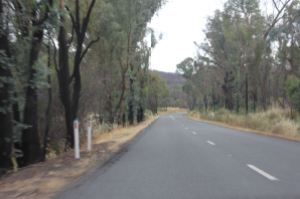 Road to Tumbarumba about 20km from the Hume Freeway 