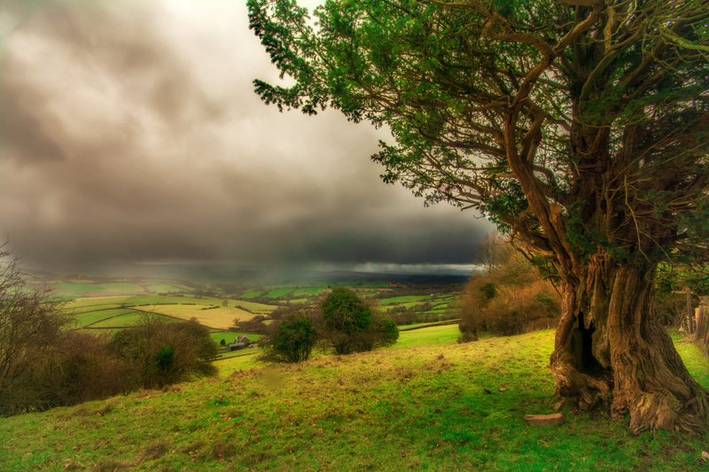 landscape-around-monmouthshire-wales_800